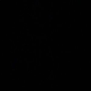 Meet your Posher, Whitney